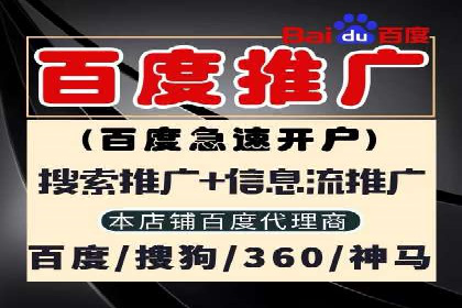深入解析SEM竞价托管的成功案例