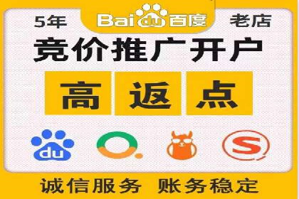 行业领先企业的SEM广告投放策略案例